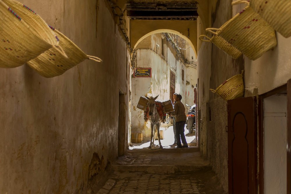 an old alley in fes morocco. there's a man and a mule at the end of the alley
