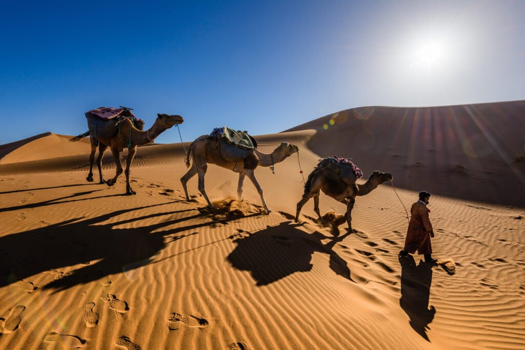 moroccan sahara in winter