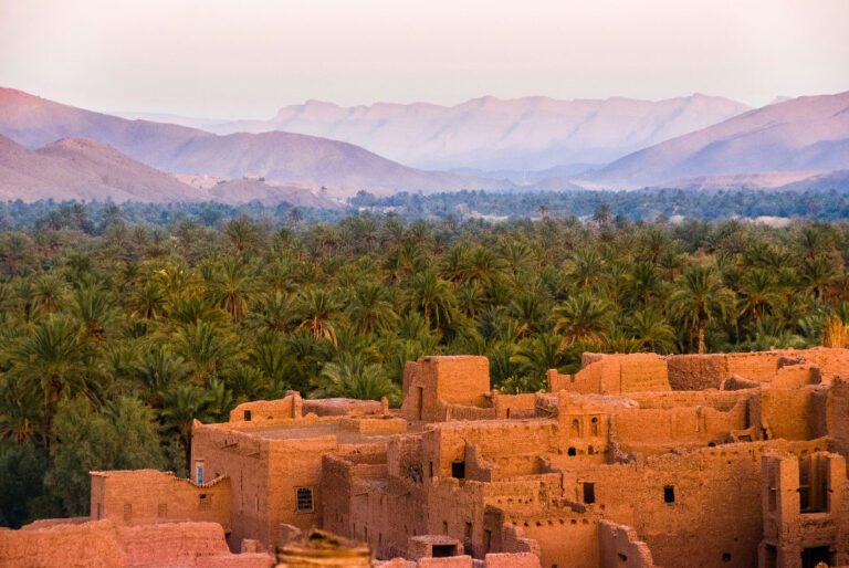 Top Spring Locations in Morocco: What to See & Do
