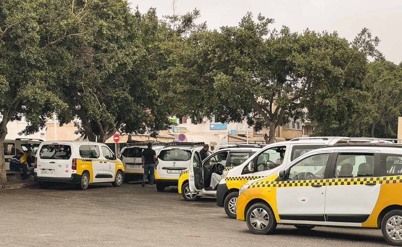 Yellow and white taxis parked under shady trees in a lot, with people walking nearby. Buildings and street signs are visible in the background.