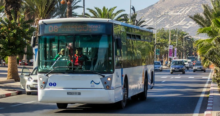 White city bus on a sunny street with palm trees and mountains in the background. LED sign reads ‘08 M'Dokkara-Taddart.’